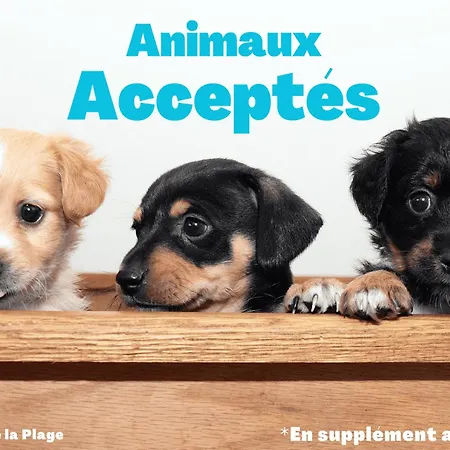 Confortable Avec Balcon - Jean De Monts - Fr-1-323-532 Apartamento